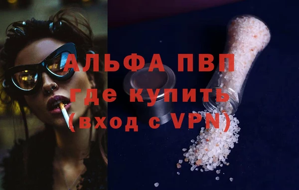 PSILOCYBIN Верхний Тагил