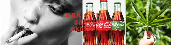 шишки Верея