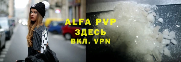 шишки Верея