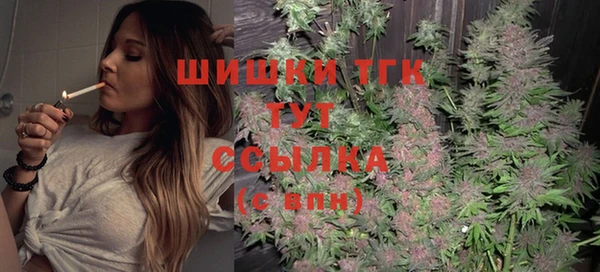 PSILOCYBIN Верхний Тагил