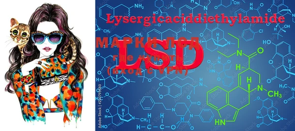 PSILOCYBIN Верхний Тагил