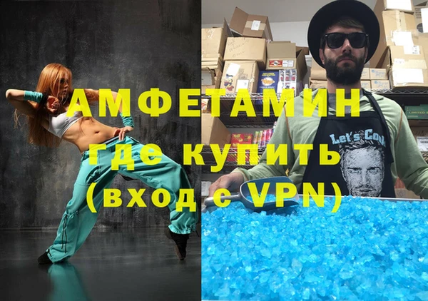 шишки Верея