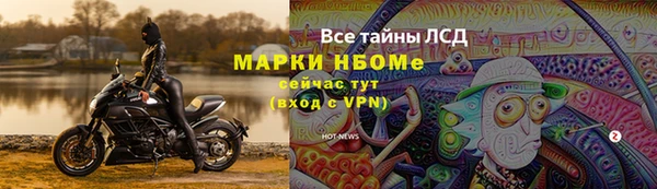 шишки Верея