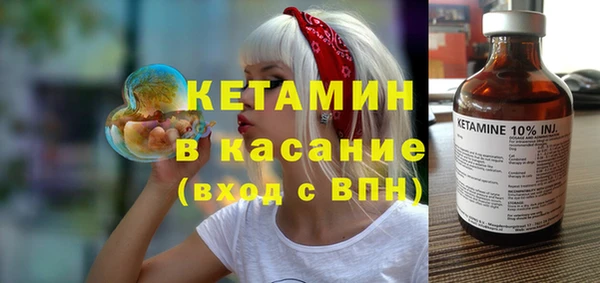 шишки Верея