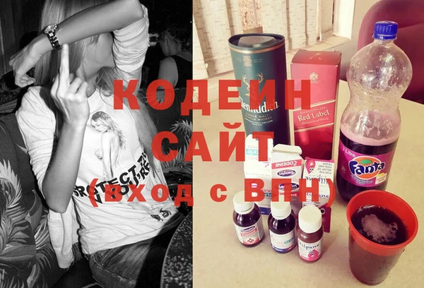 шишки Верея