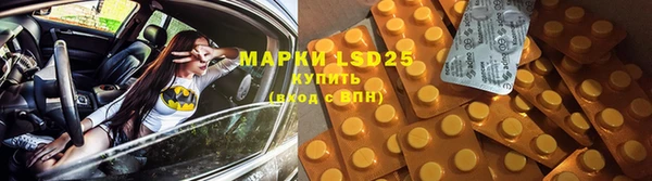 PSILOCYBIN Верхний Тагил