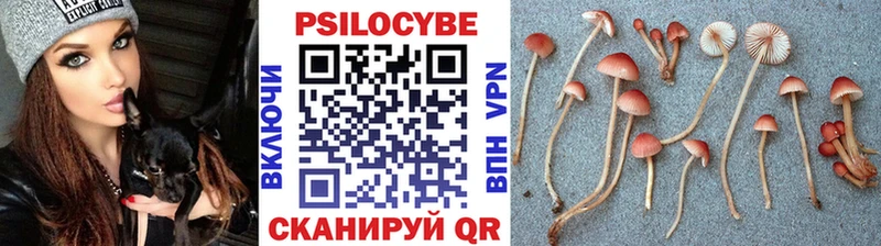 Псилоцибиновые грибы Psilocybine cubensis  Купить закладки  Кумертау 